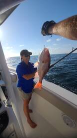 Gulf Shores Report Photo 2