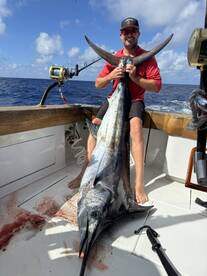Blue Marlin bite has been on fire!