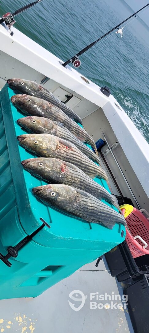 Greenport Report Photo 0