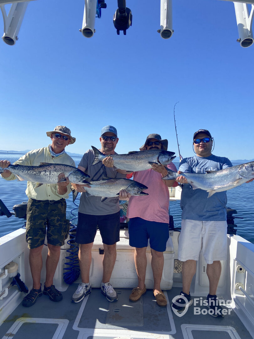 Comox Report Photo 0