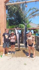 Excellent marlin fishing DALIKEN sportfi