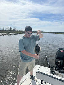 Jacksonville Report Photo 1