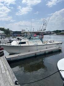 A great day with a Brazilian crew