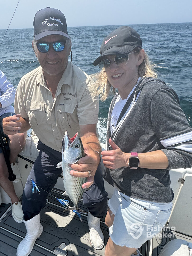 Avalon Report Photo 0