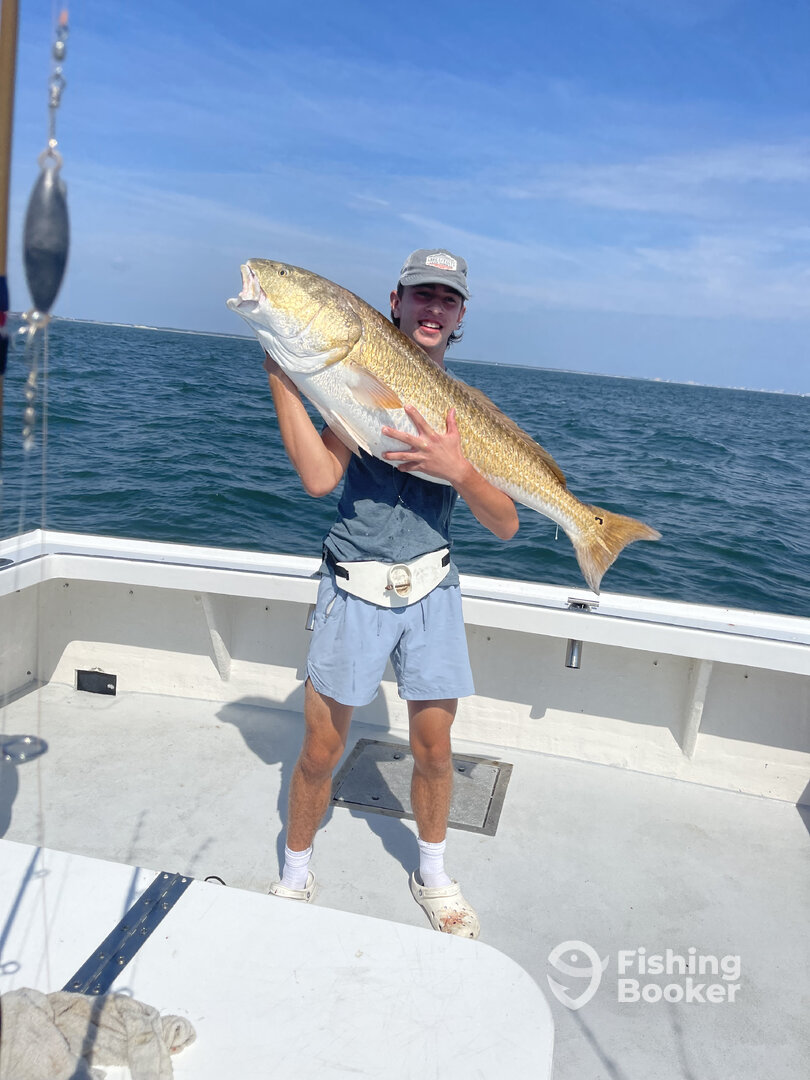 Virginia Beach Report Photo 0