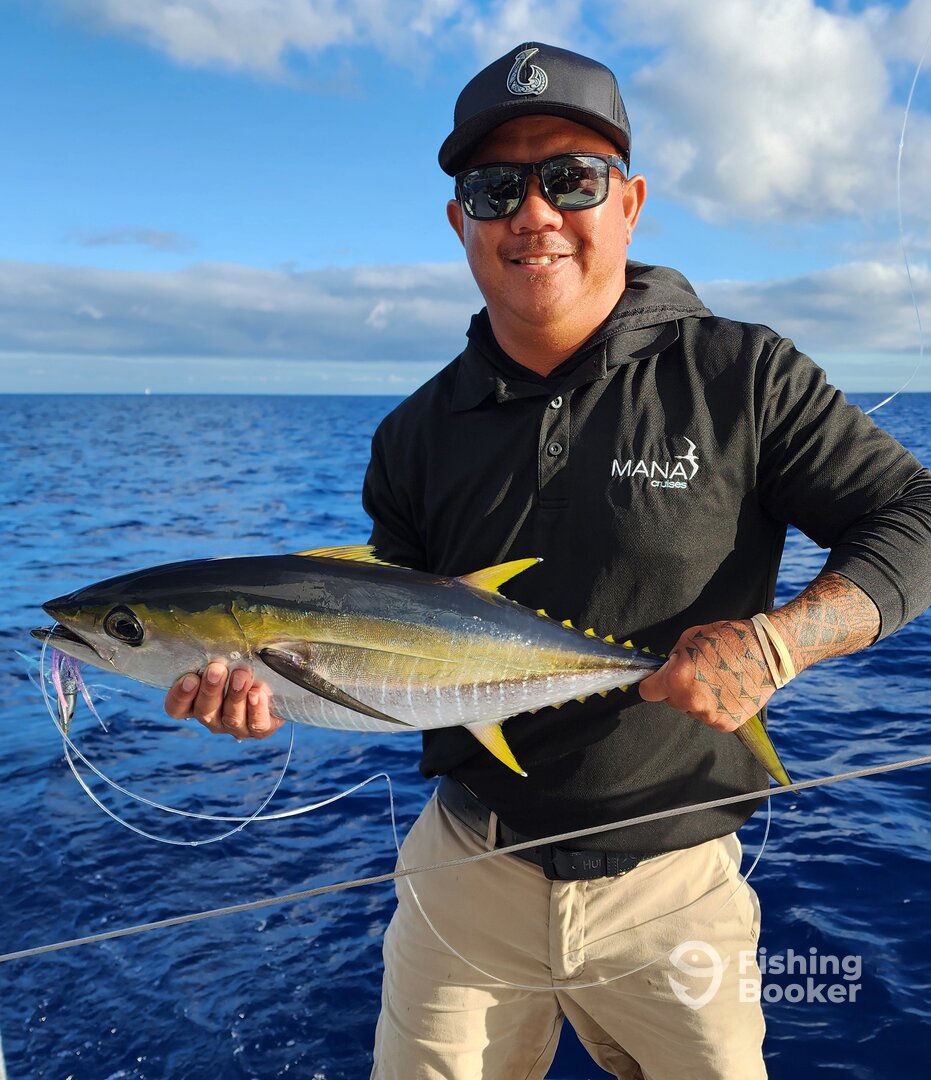 Shibi Stuck on the Hook! 