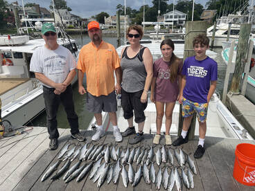 Virginia Beach Report Photo 2