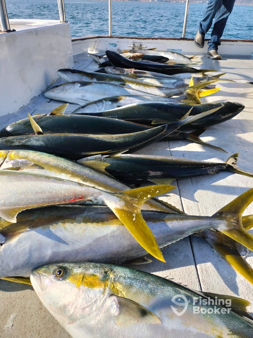 Ensenada Report Photo 0