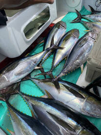 Herradura Report Photo 1