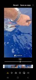 Fiesty Blue Marlin