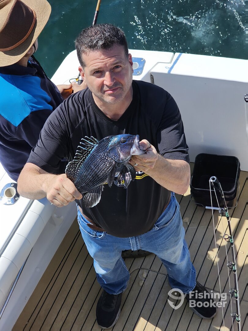 Point Pleasant Report Photo 0