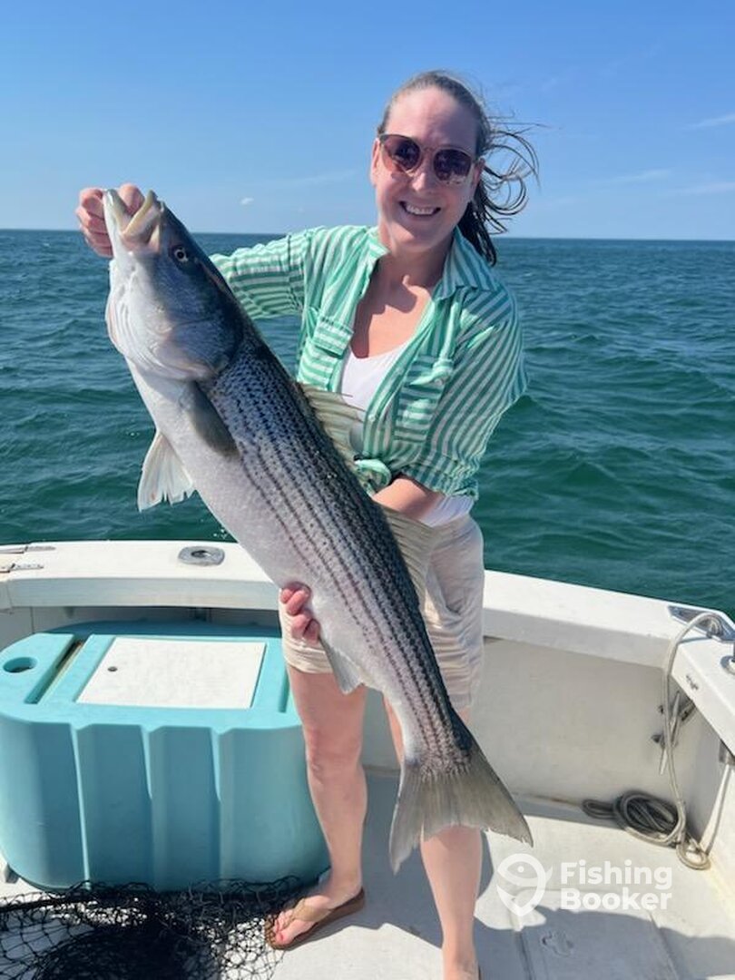 Dennis Report Photo 0