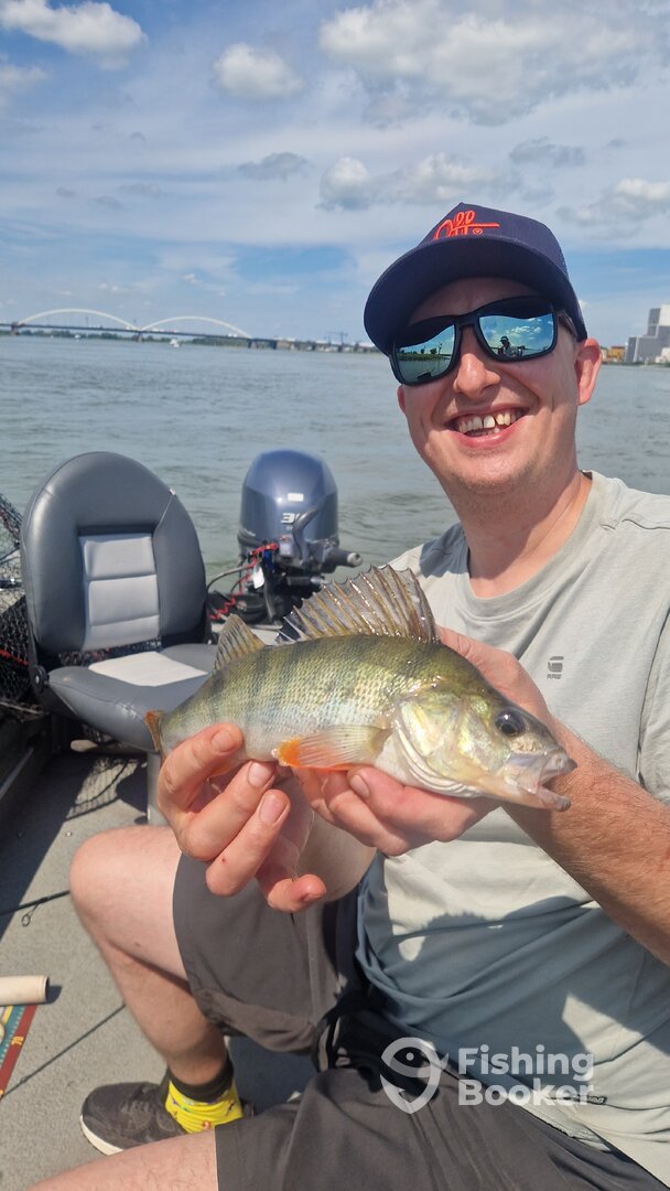 Heesselt Report Photo 0