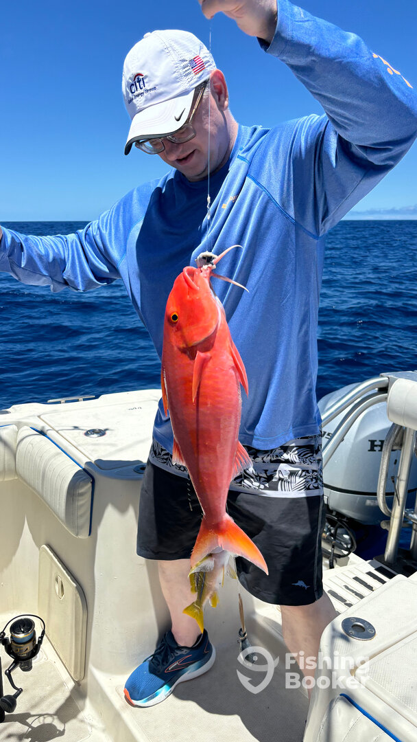 Kailua-Kona Report Photo 0