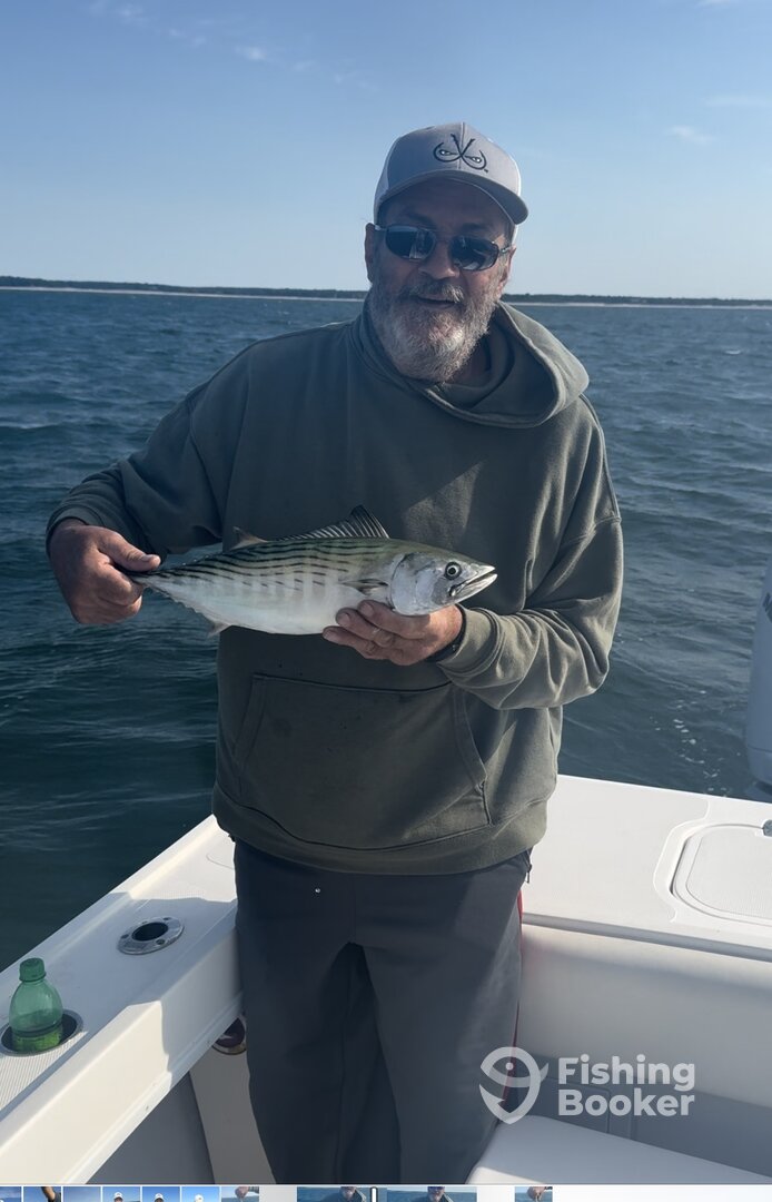 Falmouth Report Photo 0