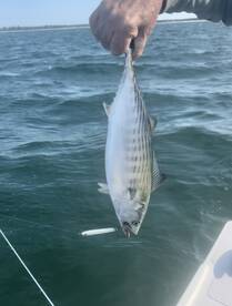 Falmouth Report Photo 1