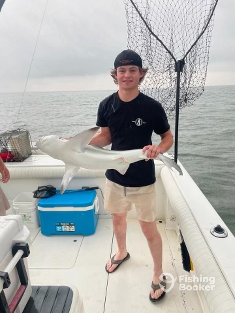 Hampton Report Photo 0