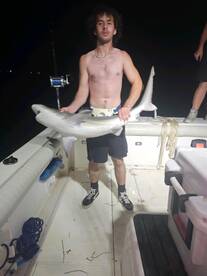 Hampton Report Photo 2