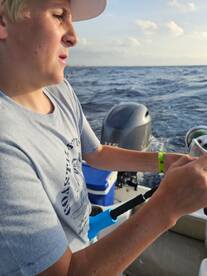 Playa Del Carmen Report Photo 2