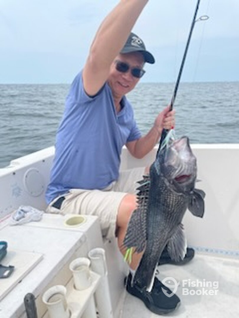 Highlands Report Photo 0