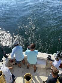 Mentor Report Photo 1