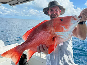 Port Douglas Report Photo 2