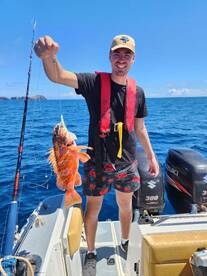 Machico Report Photo 1