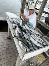 Avalon Report Photo 2