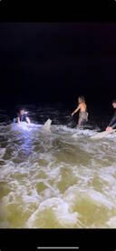 1 13ft hammerhead 2 tiger sharks