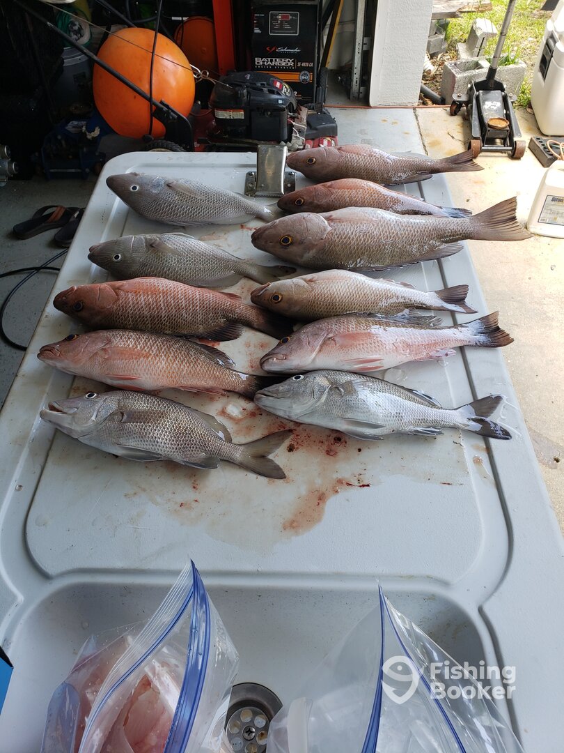 Belleair Bluffs Report Photo 0