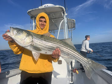 Dennis Report Photo 1