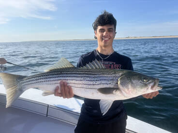 Dennis Report Photo 2