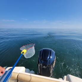 Lakeside Marblehead Report Photo 1