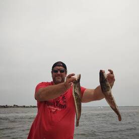 A mixed bag of tuna tile fish,ling and s