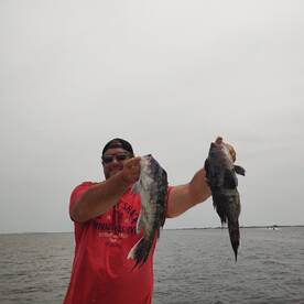 Mastic Report Photo 1