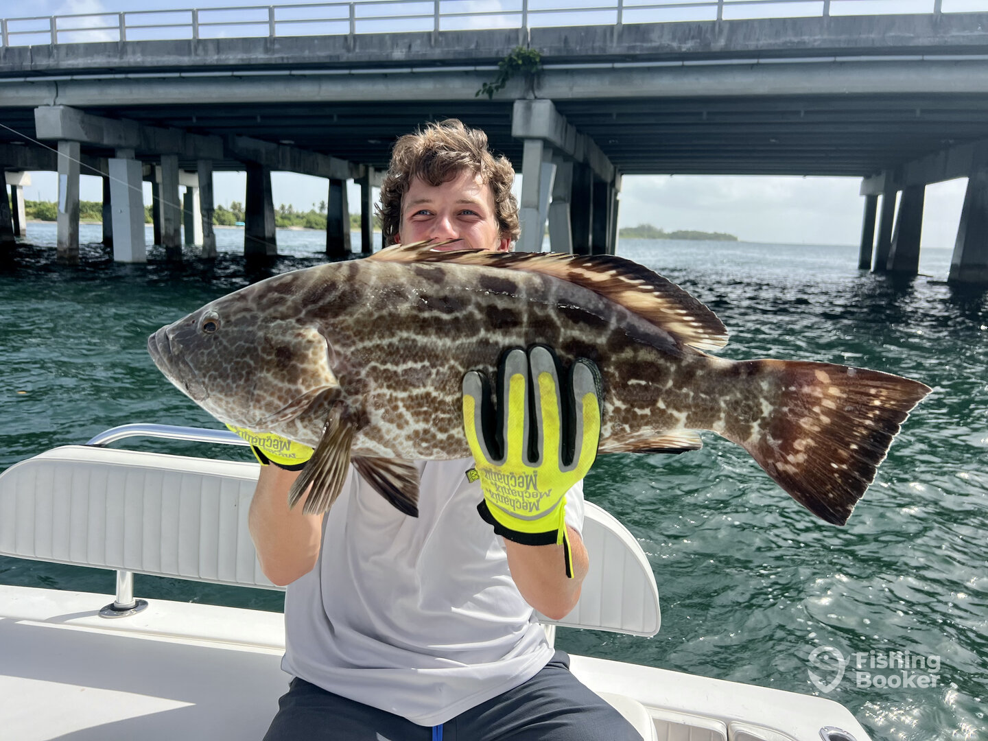 Miami Report Photo 0