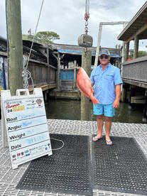 Destin Report Photo 1