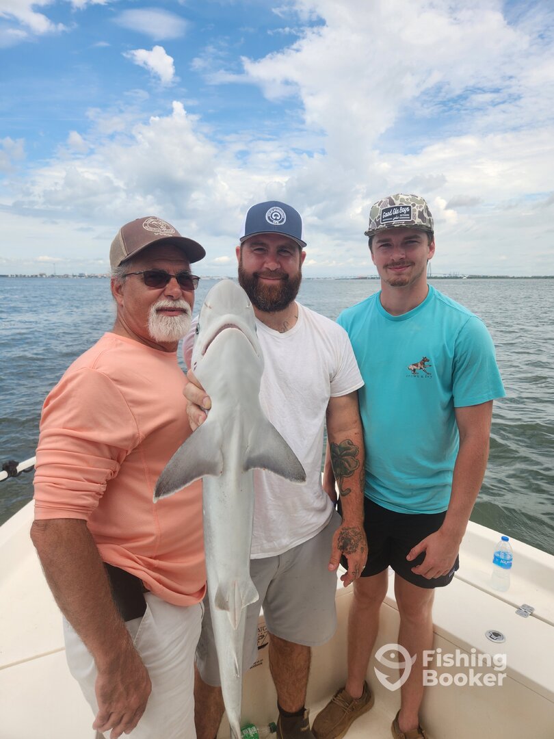 Mount Pleasant Report Photo 0