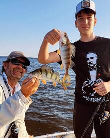 Great Perch fishing every day