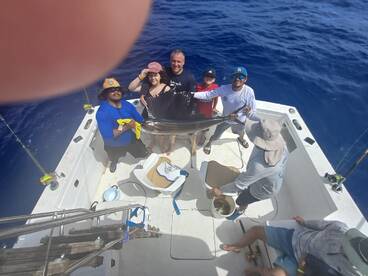 excellent week of action