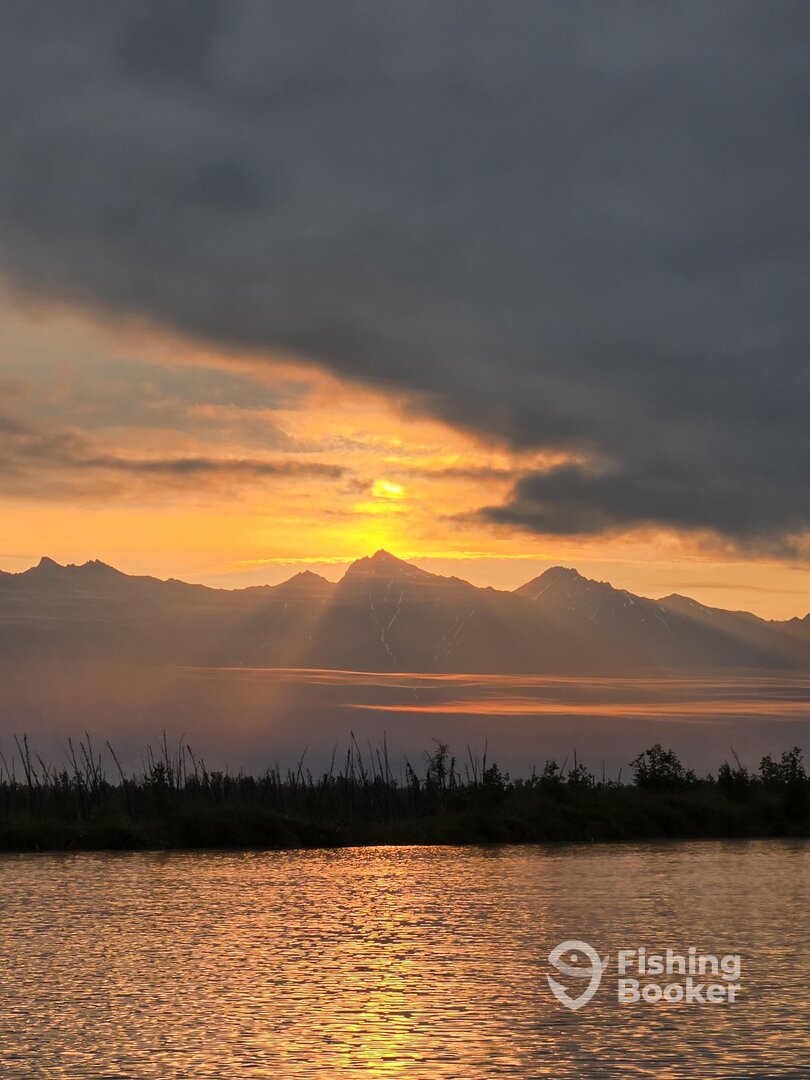 Palmer Report Photo 0