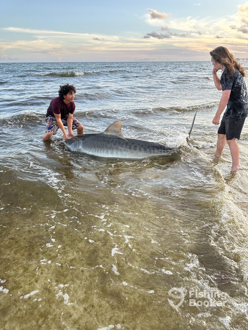 Destin Report Photo 0