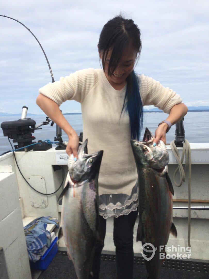 Comox Report Photo 0