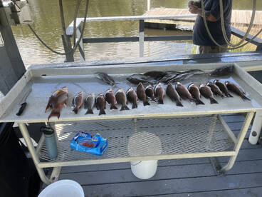 Crystal River Report Photo 2