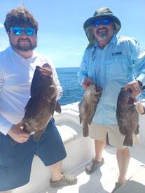 Playa Flamingo Report Photo 1