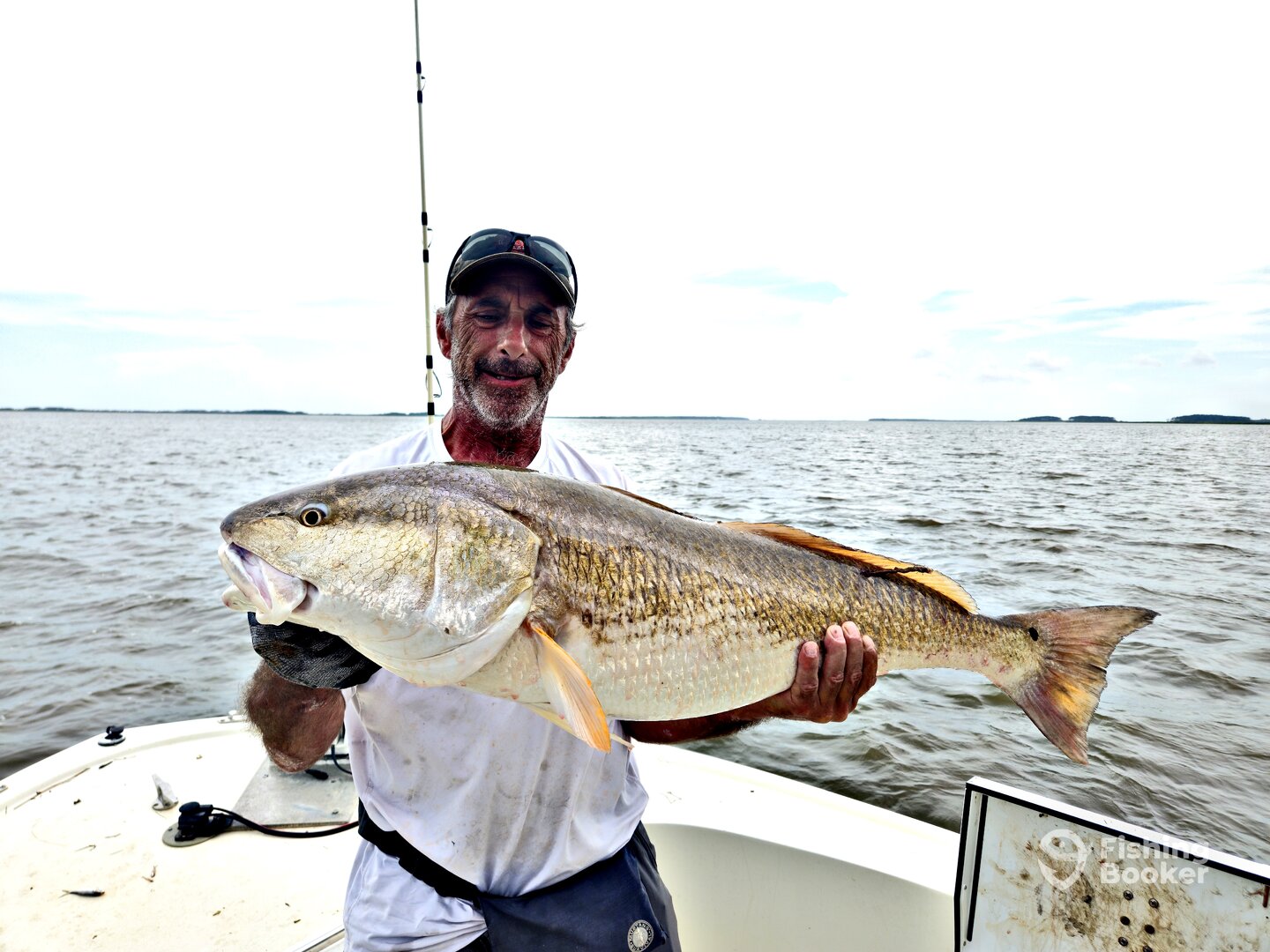 Georgetown Report Photo 0