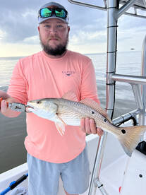 Gulf Shores Report Photo 2