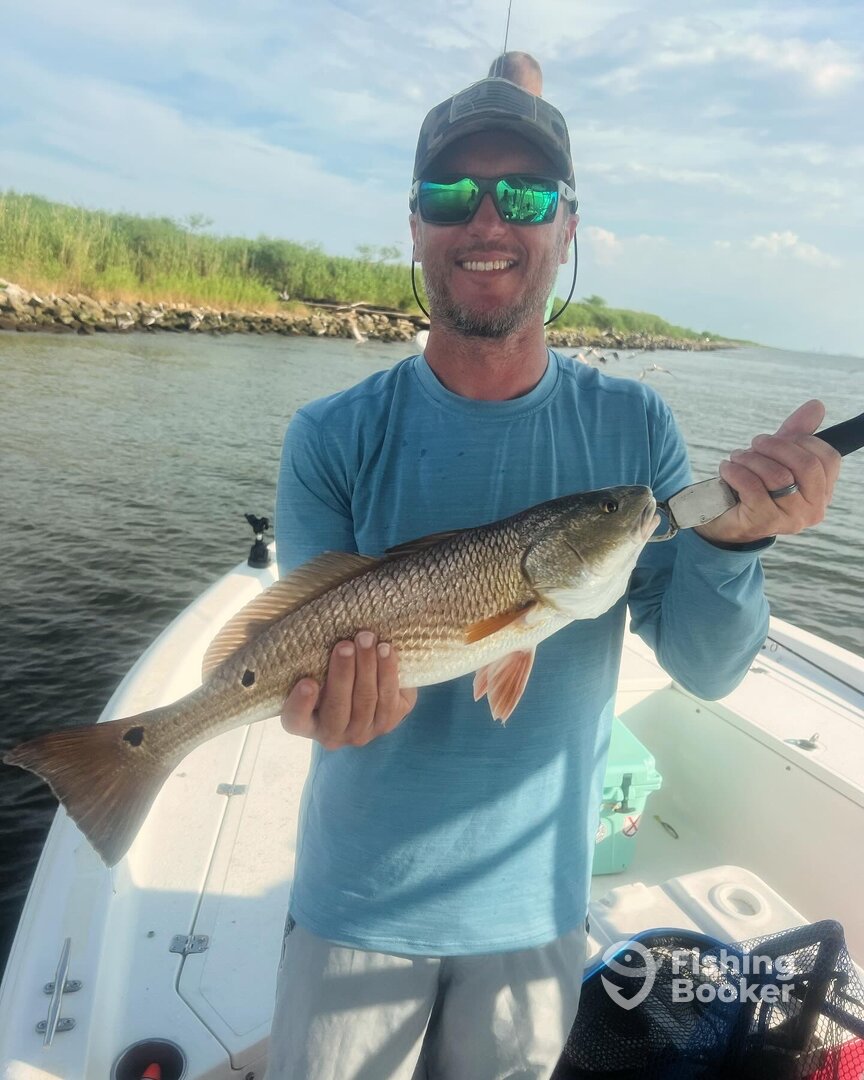 Gulf Shores Report Photo 0