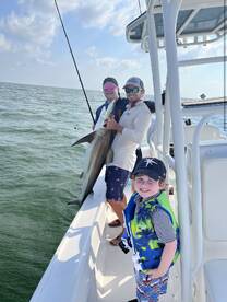 Sharks Take Over Tampa Bay!