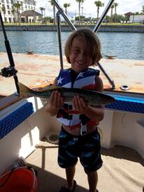 Speckled SPOTTED TROUT 